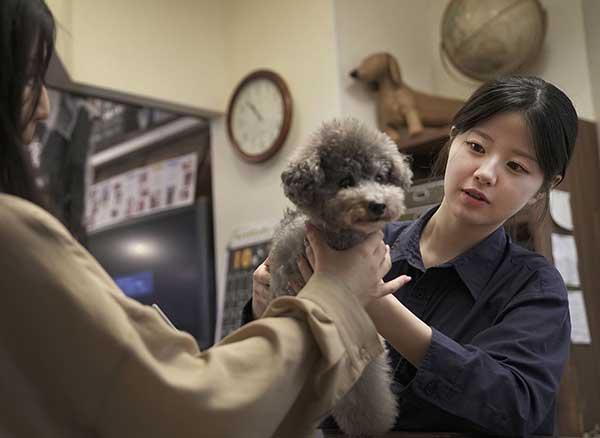 バックストーリージェイピー