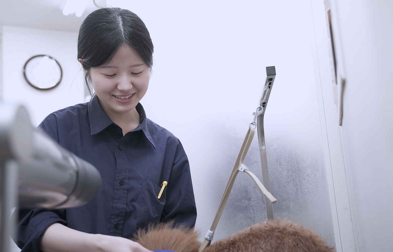 バックストーリージェイピー