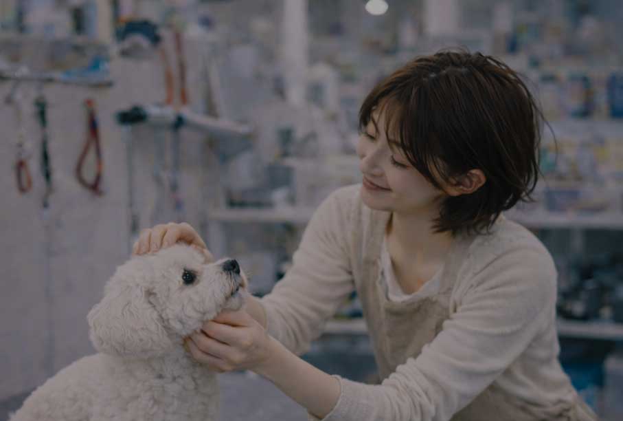 バックストーリージェイピー