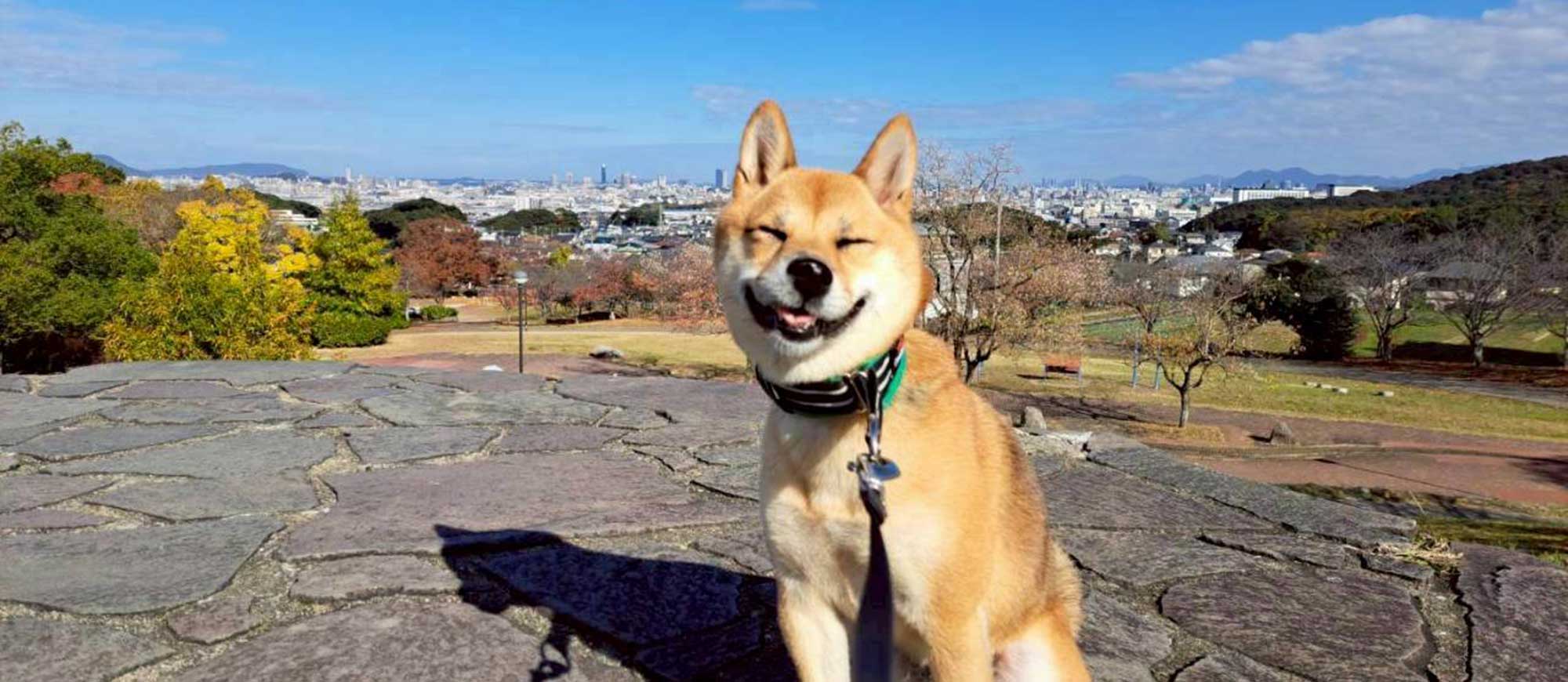 うめにとって、ベストなごはんは何か？
