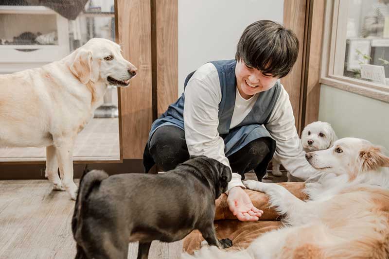 床のそばで犬と向き合うスタッフ