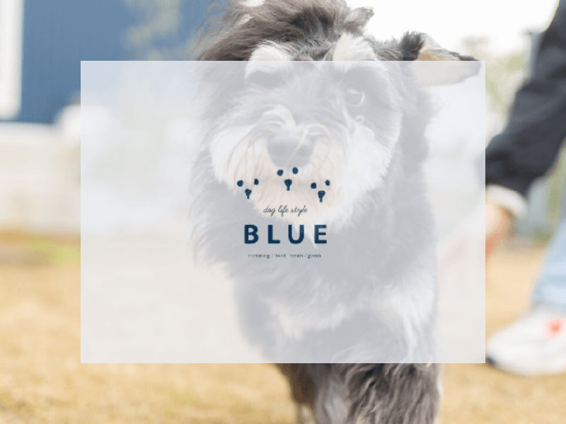 DOG LIFE STYLE BLUE