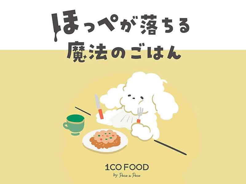 フレッシュフード ワンコイン
