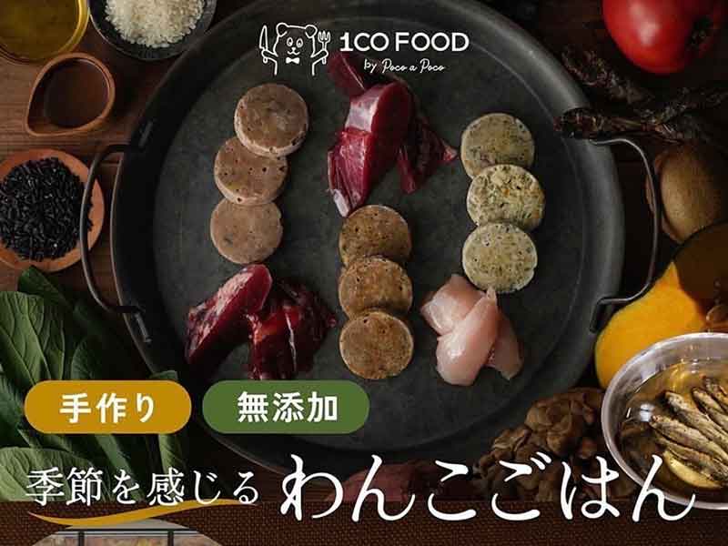 フレッシュフード ワンコイン