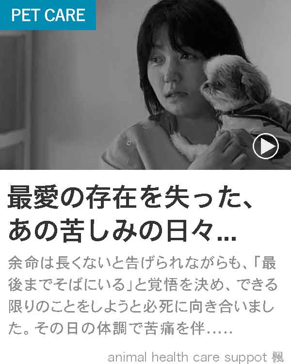 アニマルヘルスケアサポート楓