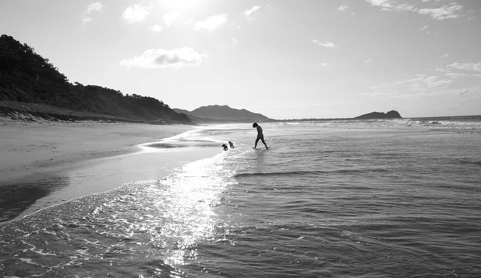 クロムエルシェイク