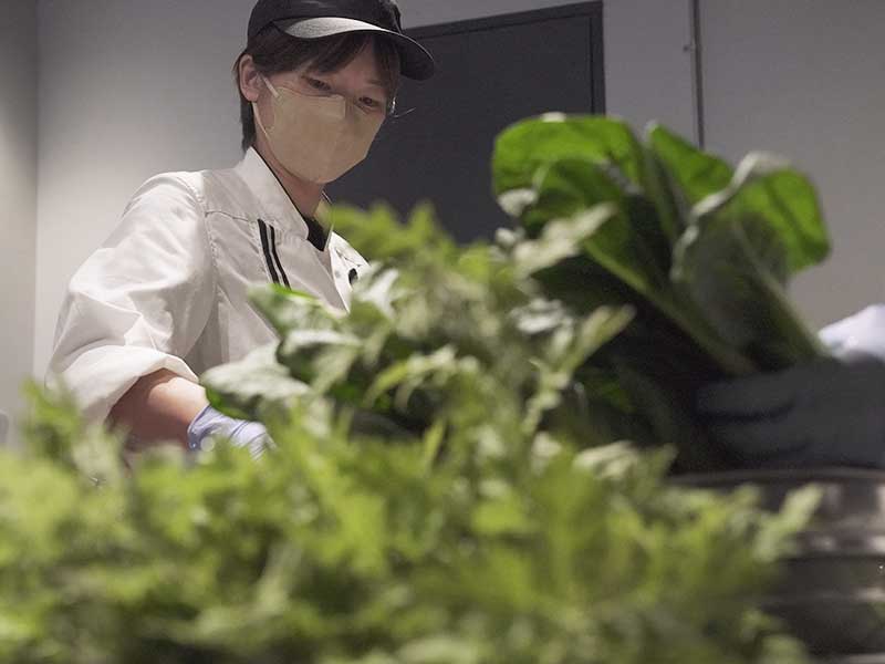 クロムエルシェイク 犬 生食