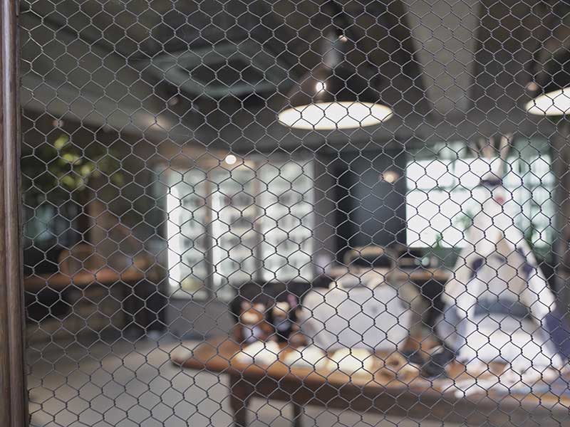 ウルス 犬 生食