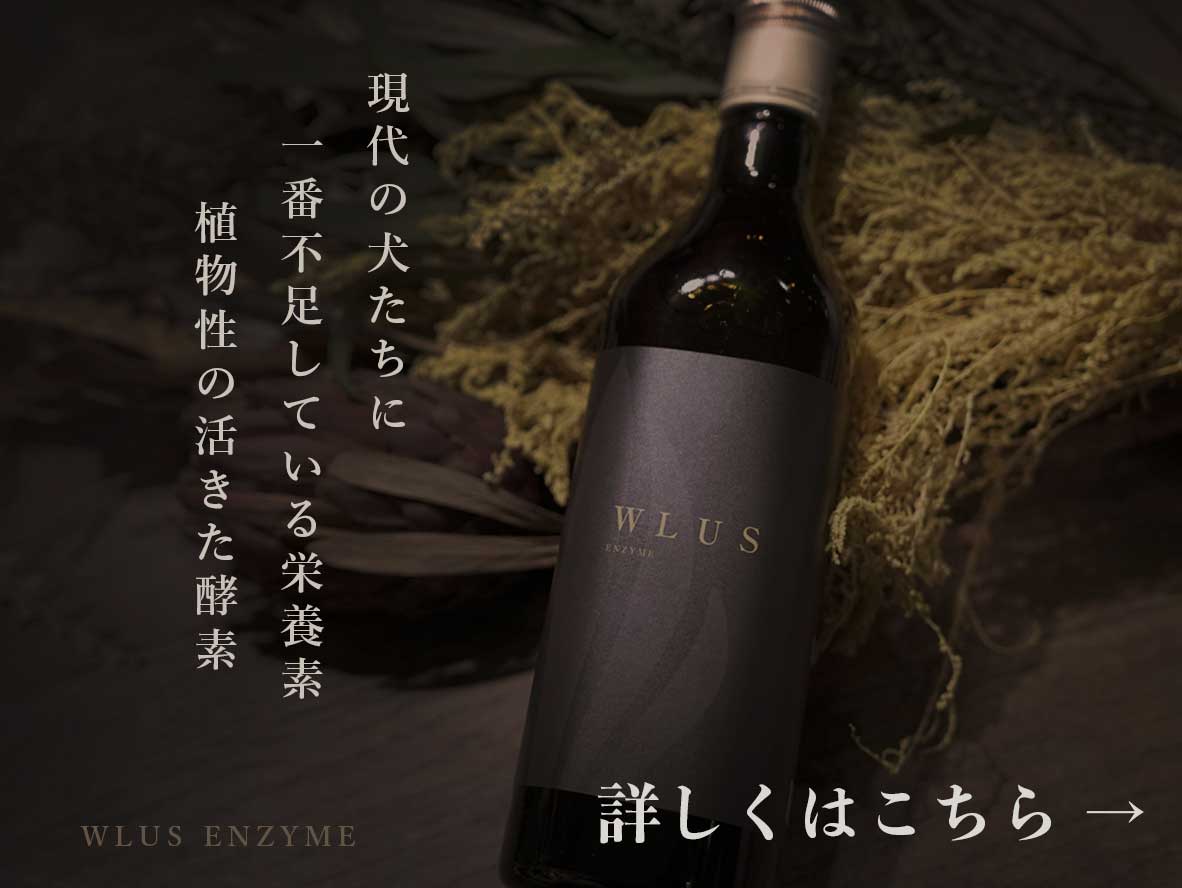 ウルスエンザイム 犬 酵素