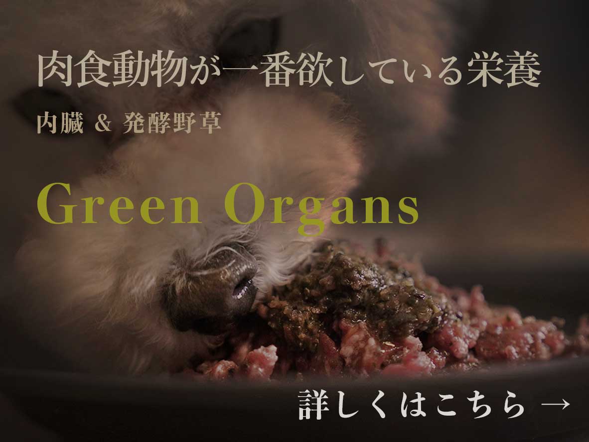 グリーンオーガンズ　ウルス