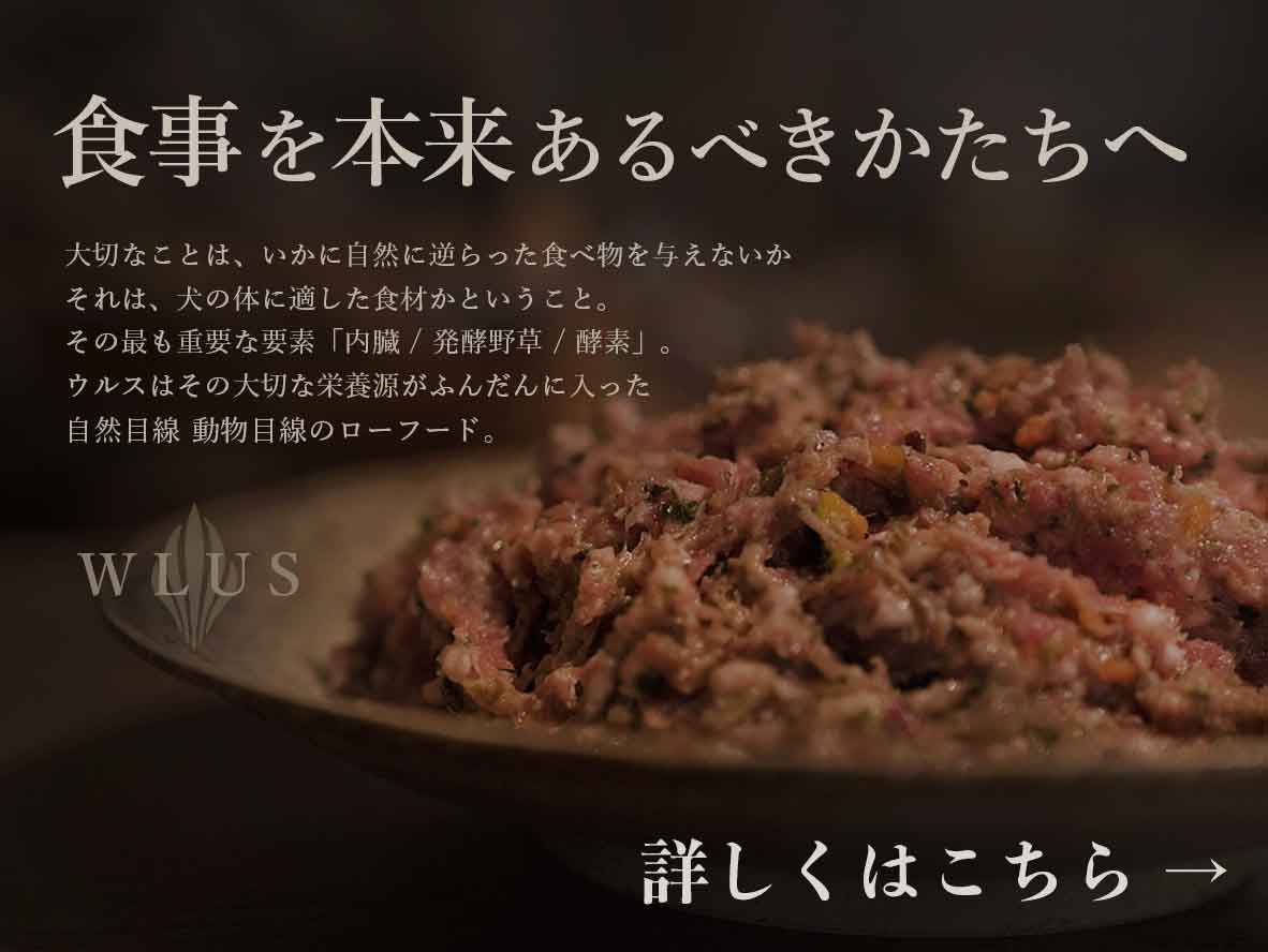 クロムエルシェイク 犬 生食