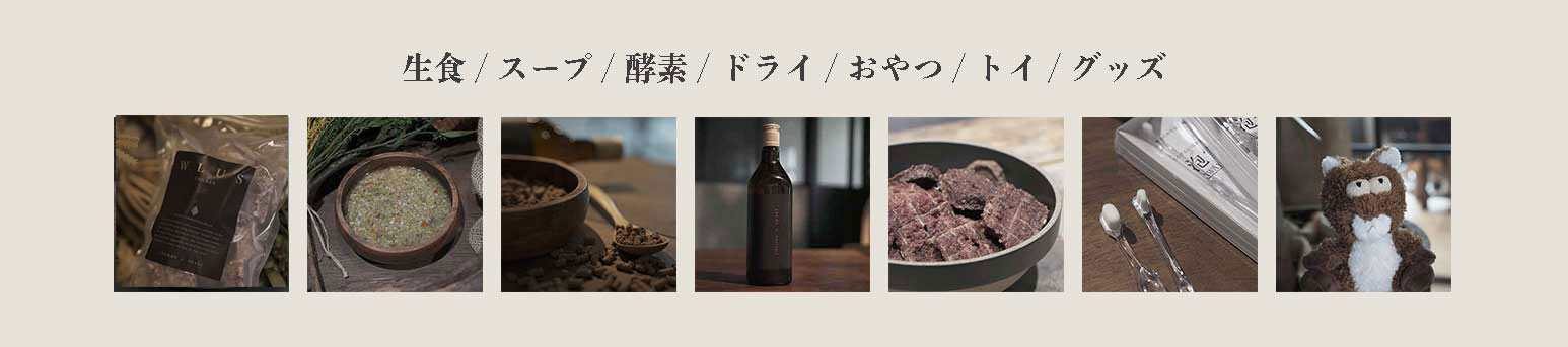 WLUS ウルス 全アイテム