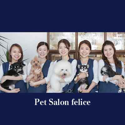 クロムエルシェイクパートナーショップ ペットサロンフェリーチェ