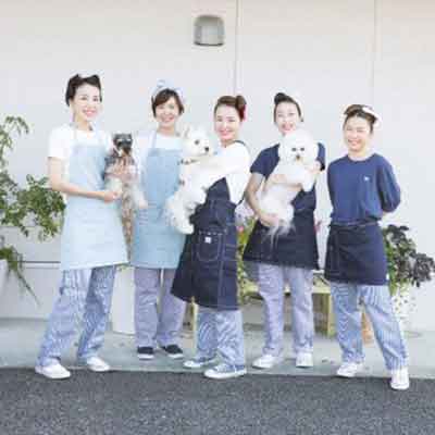 クロムエルシェイクパートナーショップ 犬の美容室トップ