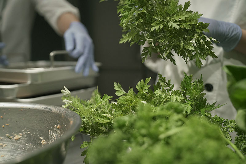 犬の食事　生食　ウルス