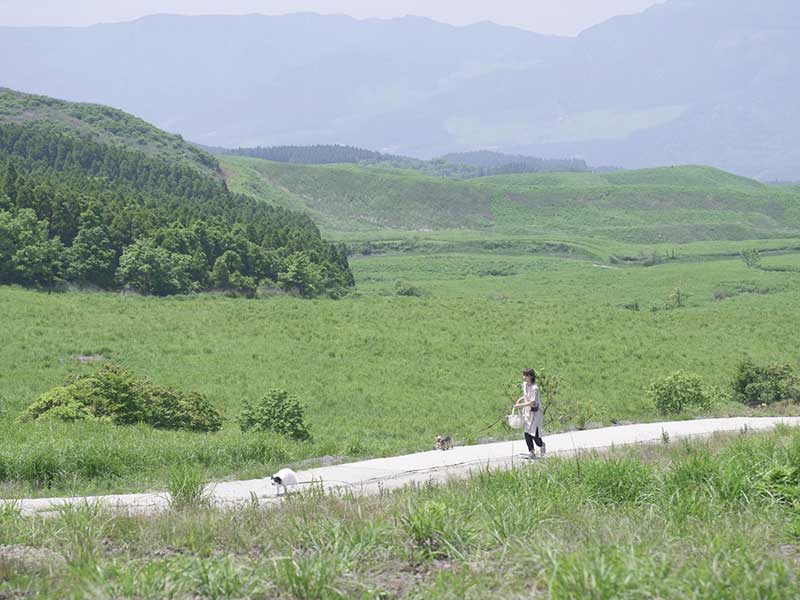 バックストーリージェイピー