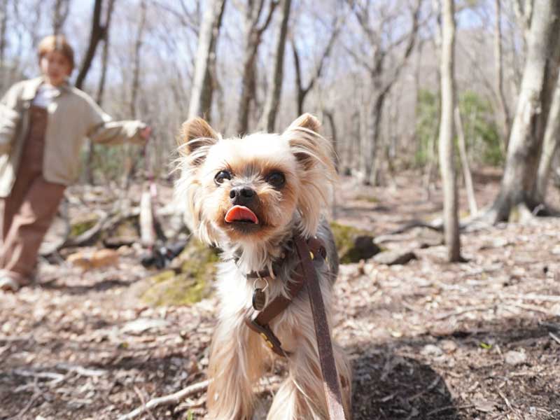 バックストーリージェイピー