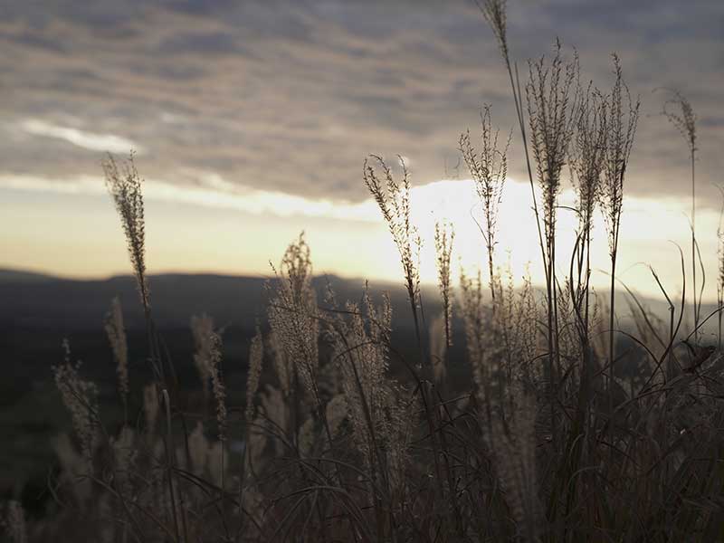 バックストーリージェイピー