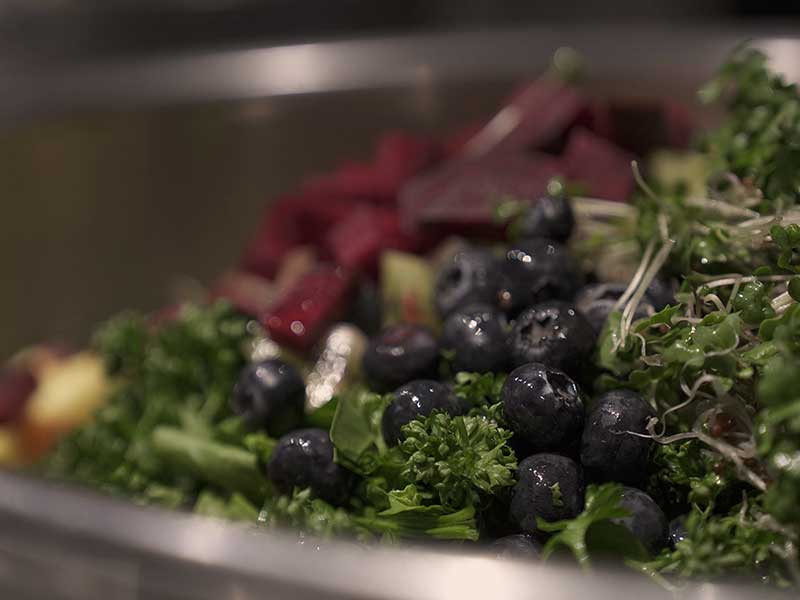 犬 自然食　酵素 ウルス