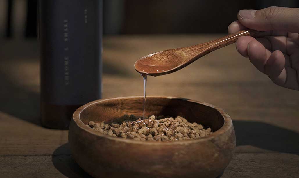 犬の酵素ウルス