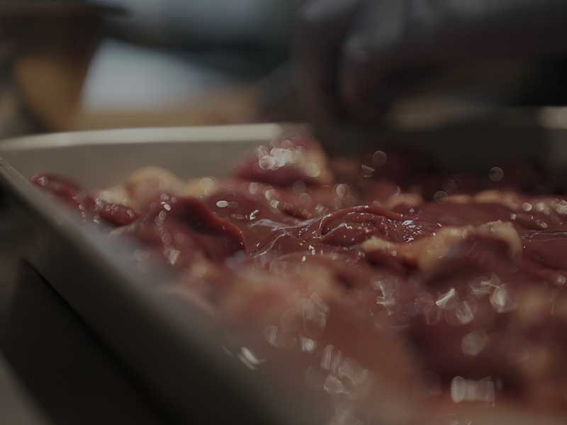 国産ドッグフード