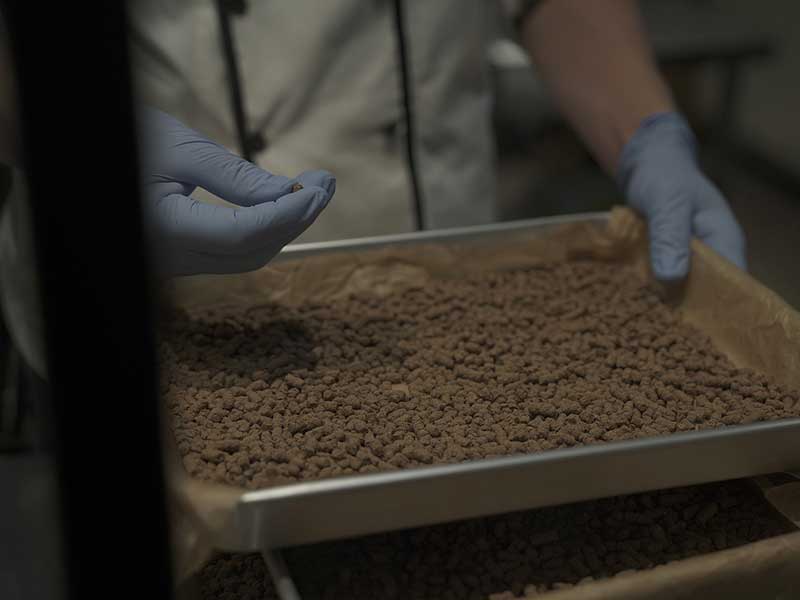 国産ドッグフード