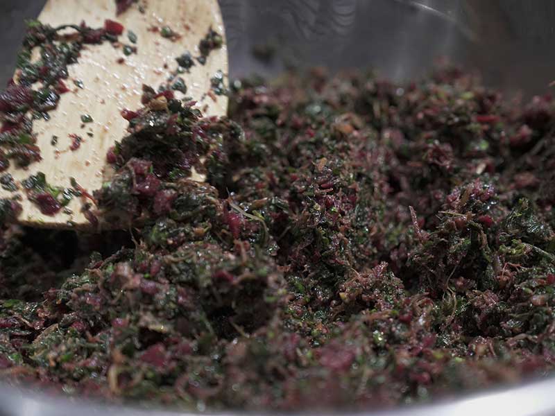 国産ドッグフード