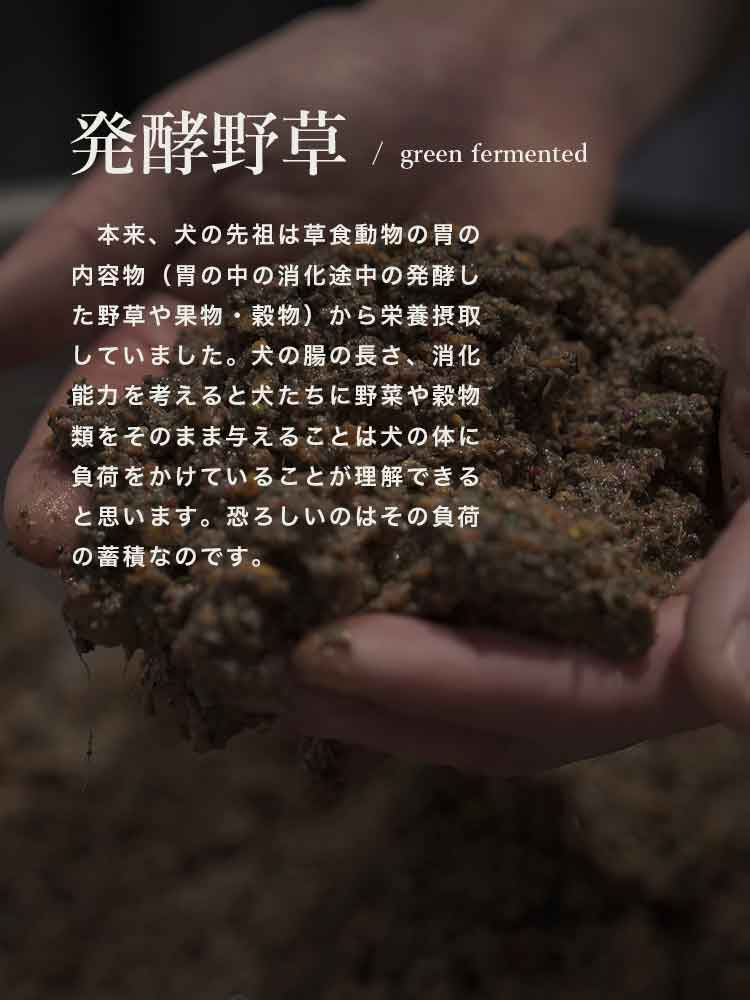 犬の食事　自然食ウルス　発酵野草