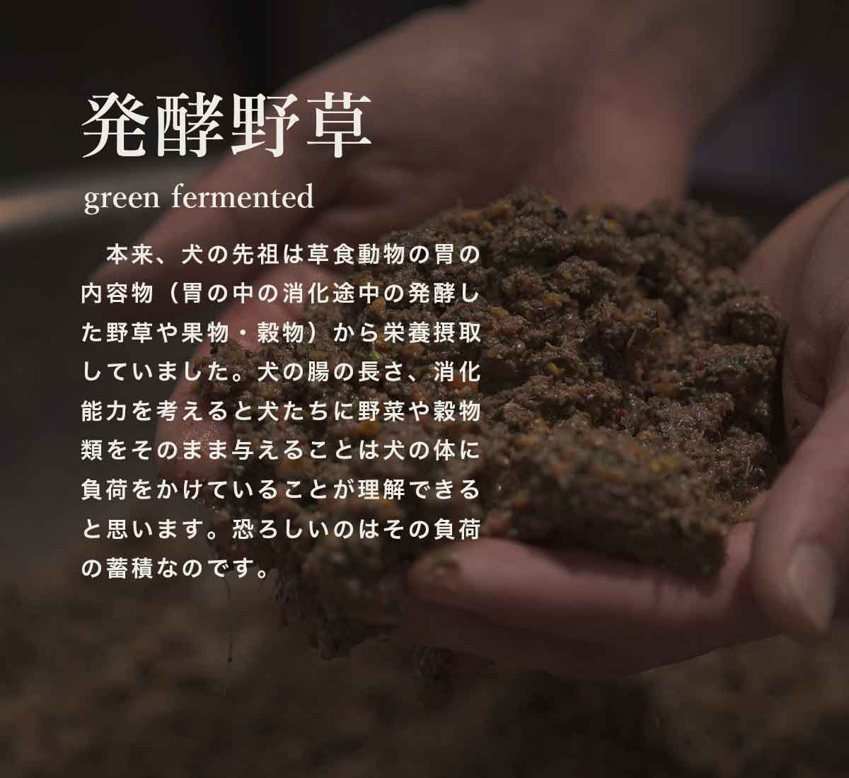 犬の自然食ウルス 発酵野草