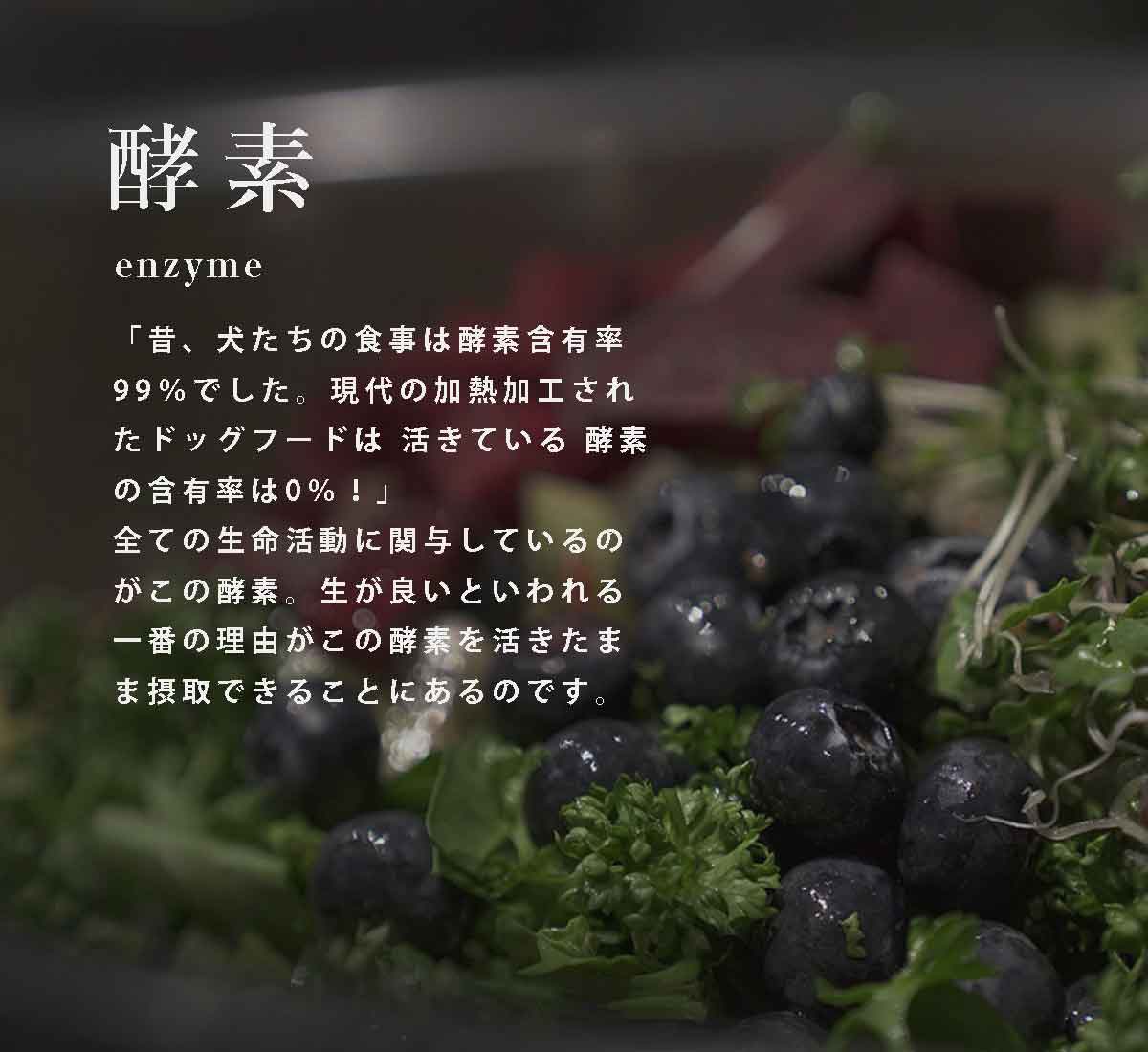 犬の自然食ウルス 酵素