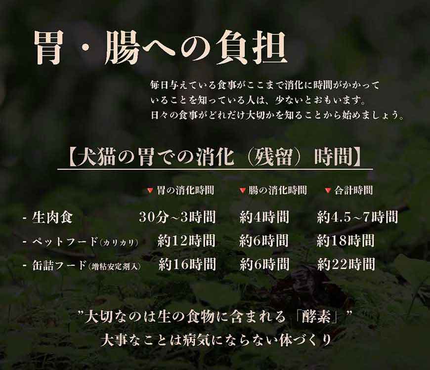 犬の生食ウルス