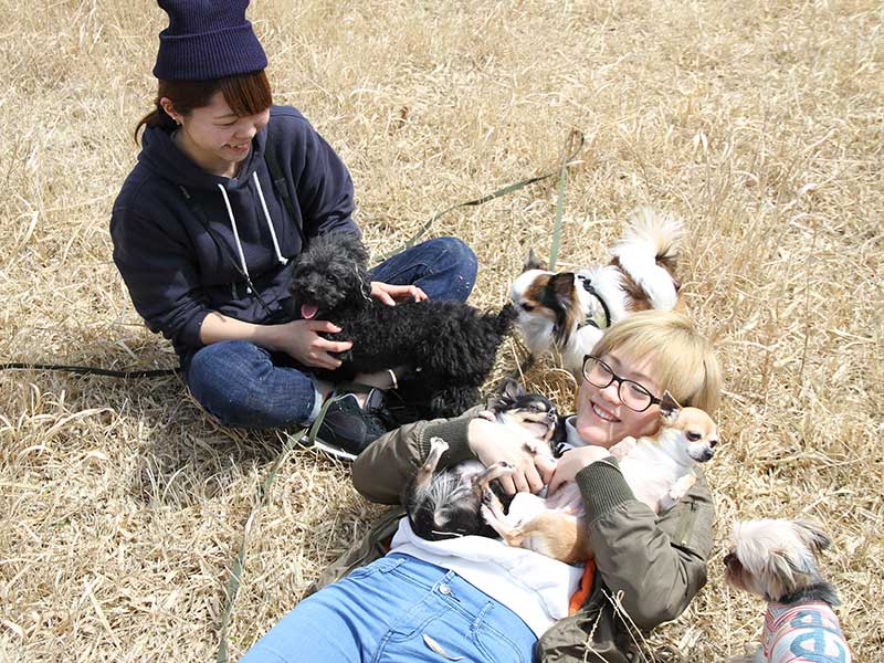 犬の食事（生食）ドッグフード23