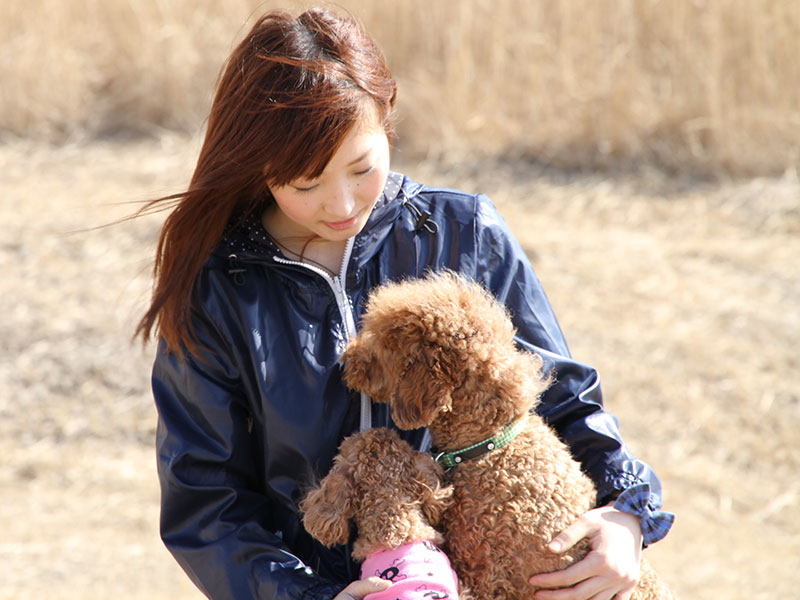 犬の食事（生食）ドッグフード27