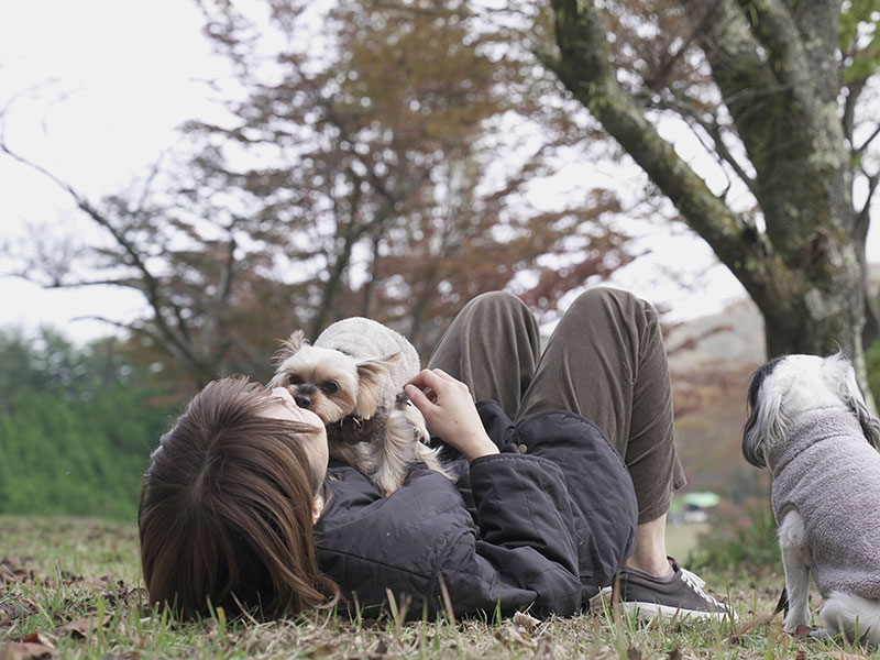 犬の食事（生食）ドッグフード29