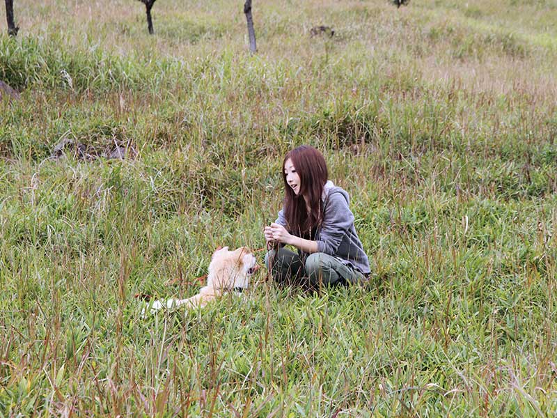 犬の食事（生食）ドッグフード31