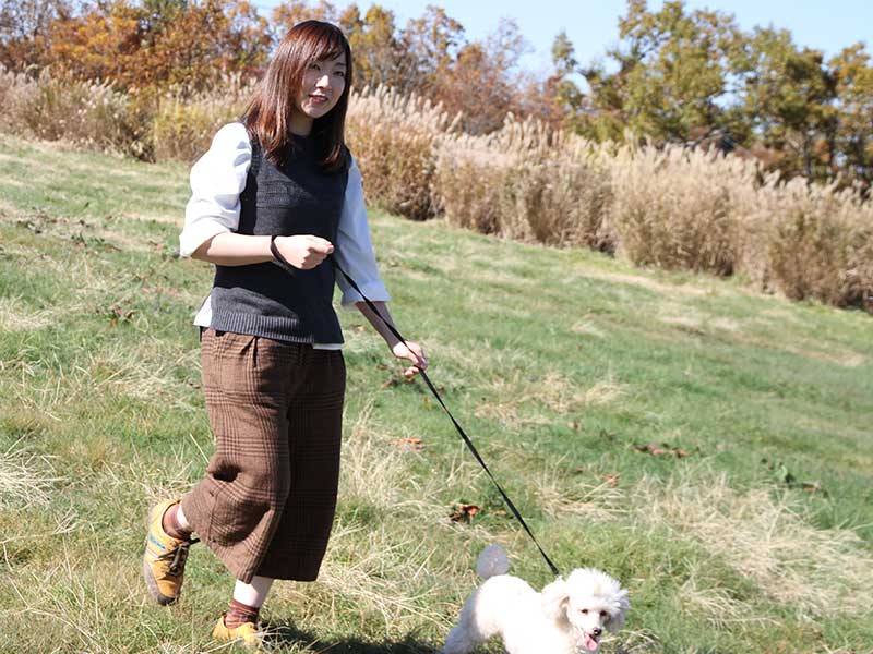 犬の食事（生食）ドッグフード34