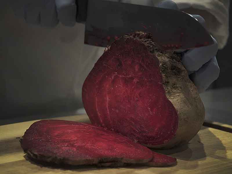 犬の食事（生食）ドッグフード