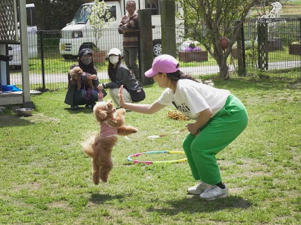 マザーズドッグス