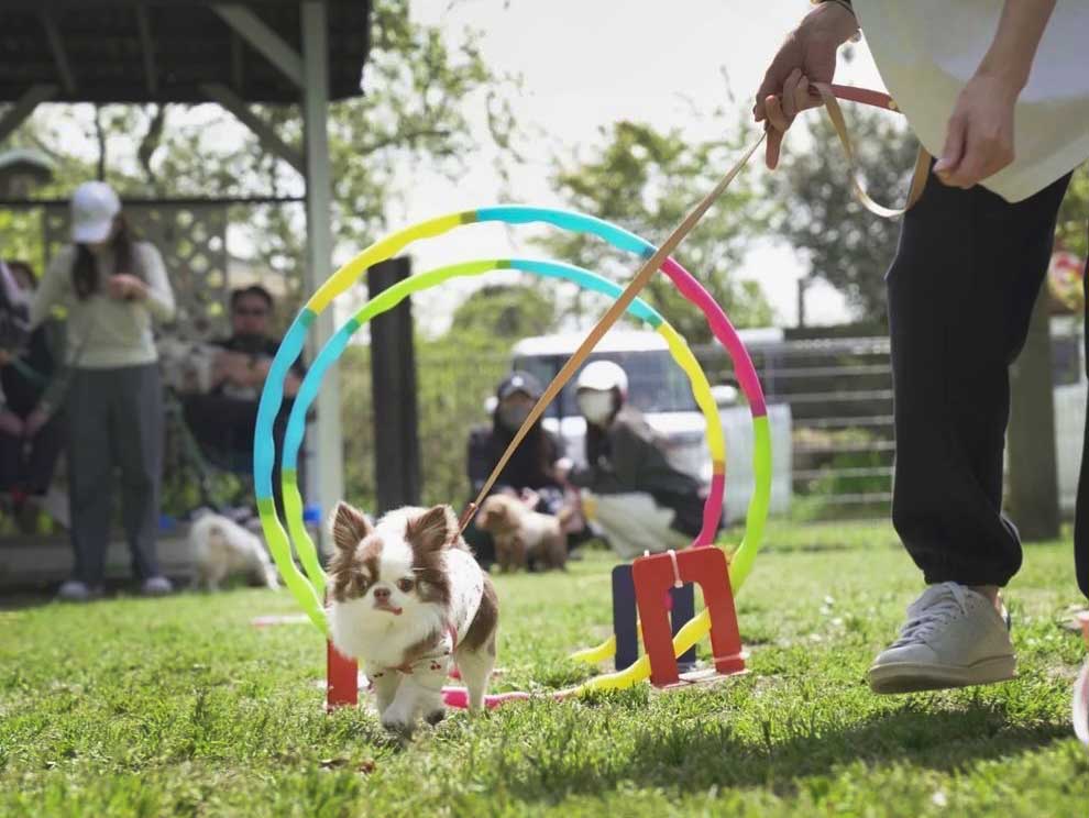 マザーズドッグス