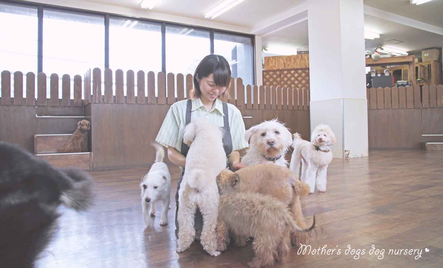 マザーズドッグス