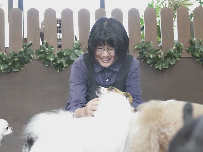 福岡市の犬の保育園マザーズドッグス