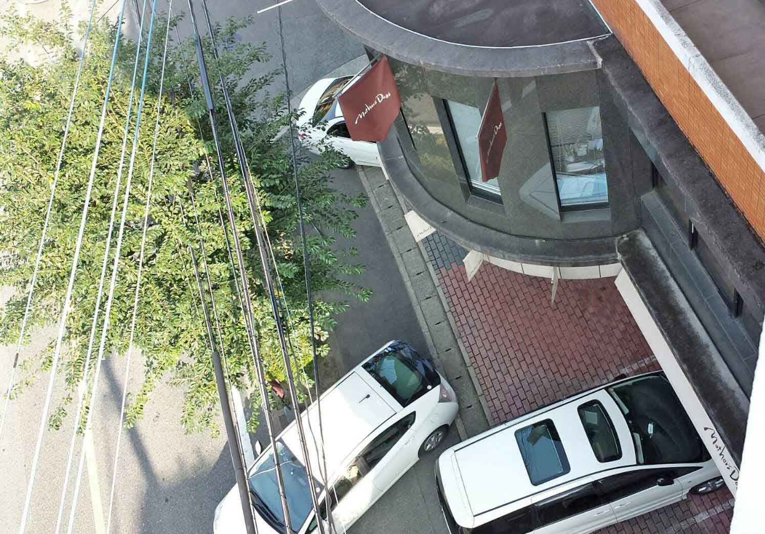 マザーズドッグス