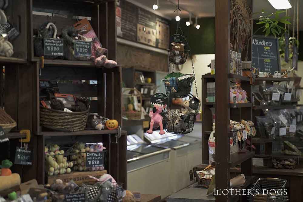 マザーズドッグス