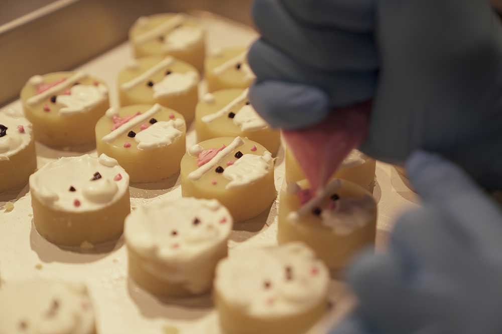 マザーズドッグス