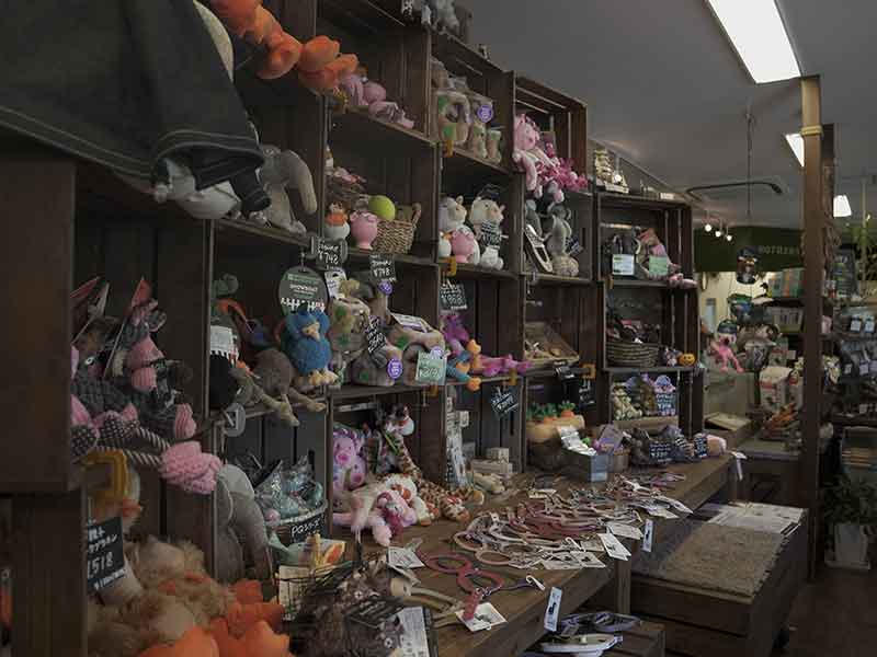 福岡,国産ドッグフード