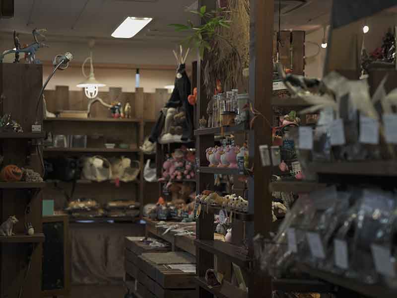 福岡,国産ドッグフード