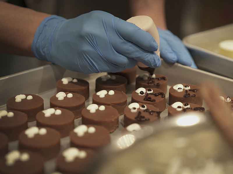 福岡,国産ドッグフード