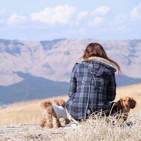 クロムエルシェイク クロムの発酵野草