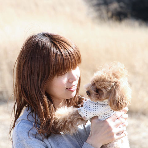 クロムエルシェイク クロムの夢