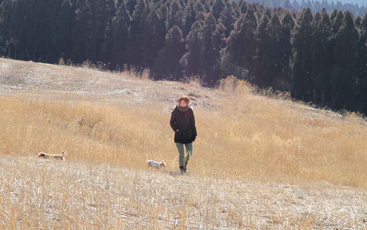 クロムエルシェイク